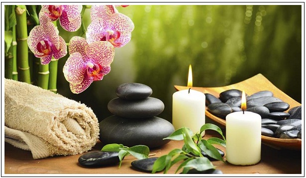 The Elixir Ayurvedic Clinic